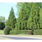 151 Chestnut Oak Lane, Dawsonville, GA 30534 ID:8945625