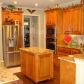 206 Willow Ridge Drive, White, GA 30184 ID:9078232