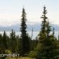 54655 Trappers Lane, Homer, AK 99603 ID:8869083