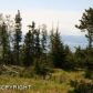 54655 Trappers Lane, Homer, AK 99603 ID:8869085