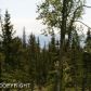 54655 Trappers Lane, Homer, AK 99603 ID:8869087