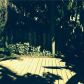 11574 SW 91 TE # *, Miami, FL 33176 ID:9182177