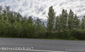 22022 Knik Vista Street, Chugiak, AK 99567