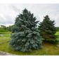 801 Acker Pkwy, De Forest, WI 53532 ID:9171755