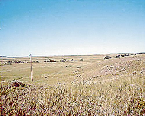 Weld County Road 126.5, Carr, CO 80612