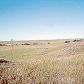 Weld County Road 126.5, Carr, CO 80612 ID:6450079