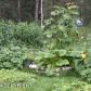 2085 E Black Bear Drive, Wasilla, AK 99654 ID:8617350