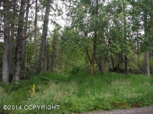 L1 Robin Hood Drive, Anchorage, AK 99516