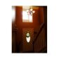 8016 Banks Mill Road, Douglasville, GA 30135 ID:9080264