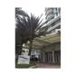 6515 COLLINS AV # 610, Miami Beach, FL 33141 ID:9254282