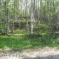 16415 W Tamarack Cove Drive, Big Lake, AK 99652 ID:9100644