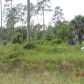 323 Columbus Ave, Lehigh Acres, FL 33936 ID:9291675