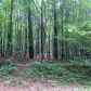 16 Old Jones Mill Road Ne, White, GA 30184 ID:8879075