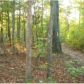 0 Gore Lakes Road, Dallas, GA 30132 ID:9124290