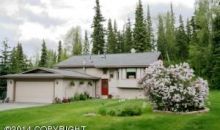 10121 Lone Tree Drive Anchorage, AK 99516