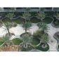 6799 COLLINS AV # 1004, Miami Beach, FL 33141 ID:9221503