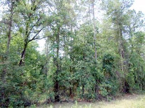 204th St.- Lot 21, O Brien, FL 32071