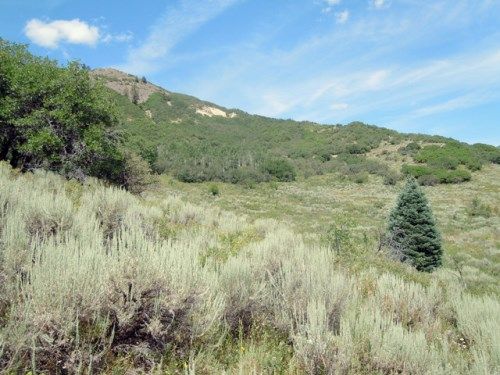 TBD RCR 37, Hayden, CO 81639