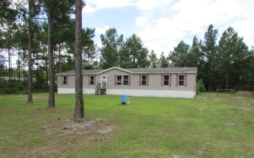 58 Moss Tree Rd, Hortense, GA 31543