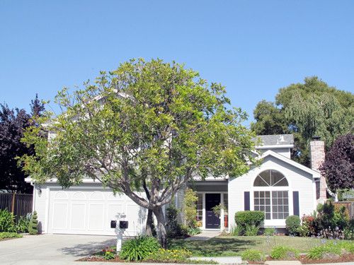 650 Cayman Lane, San Mateo, CA 94404