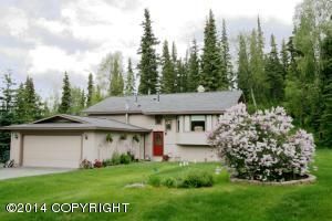 10121 Lone Tree Drive, Anchorage, AK 99516