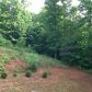 43 Myers Chance Road, Dahlonega, GA 30533 ID:8721115