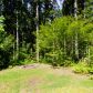 510 N Dow Mountain Drive, Hoodsport, WA 98548 ID:8809150