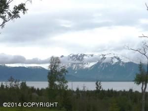 L8 B2 Triple Crown Estates, Homer, AK 99603