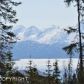 LJ2 Benjamin Avenue, Homer, AK 99603 ID:8411076