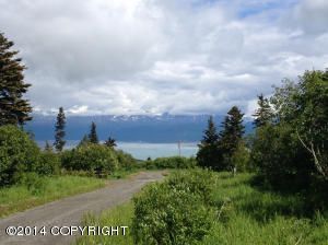 50847 Mountain Glacier Court, Homer, AK 99603