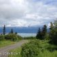 50847 Mountain Glacier Court, Homer, AK 99603 ID:9023043