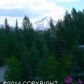 3200 N Sparrow Court, Wasilla, AK 99654 ID:8799715