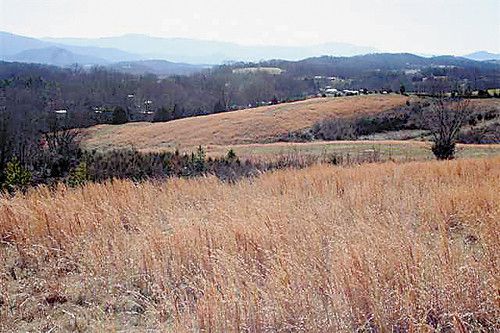 38.66 ac ALLEN CHAPEL, Parrottsville, TN 37843