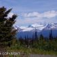 35436 Alpine Meadow Drive, Homer, AK 99603 ID:8868722