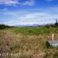 35436 Alpine Meadow Drive, Homer, AK 99603 ID:8868723