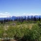 35436 Alpine Meadow Drive, Homer, AK 99603 ID:8868726