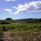 35436 Alpine Meadow Drive, Homer, AK 99603 ID:8868728