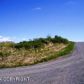 35436 Alpine Meadow Drive, Homer, AK 99603 ID:8868729