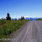 35436 Alpine Meadow Drive, Homer, AK 99603 ID:8868730