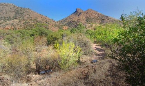 10 Acorn Lane, Patagonia, AZ 85624