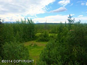 11110 W Wasey Way, Big Lake, AK 99652