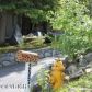 2551 Loussac Drive, Anchorage, AK 99517 ID:8929611