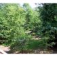 2108 Rockdale Circle, Snellville, GA 30078 ID:9261142