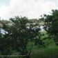 2871 N OAKLAND FOREST DR # 206, Fort Lauderdale, FL 33309 ID:9194884