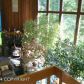 242 Davos Road, Girdwood, AK 99587 ID:9033803