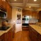 482 Delaperriere Loop, Jefferson, GA 30549 ID:8842005