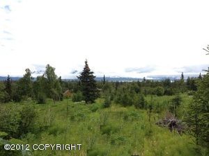 L14 B3 Glenn Road, Homer, AK 99603