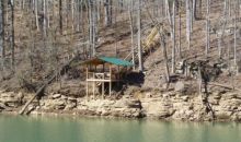 3.37 AC DAVIS COLE LANE Quebeck, TN 38579