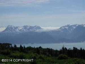 L7 Hutler Road, Homer, AK 99603