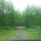 14620 S Knik-Goose Bay Road, Wasilla, AK 99654 ID:9167751